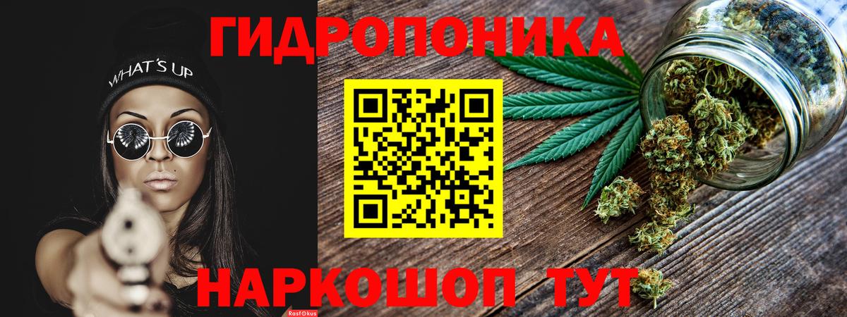 Ржев  Конопля Ganja  Вход с VPN  МАРИХУАНА ГИДРОПОН  Каннабис план 